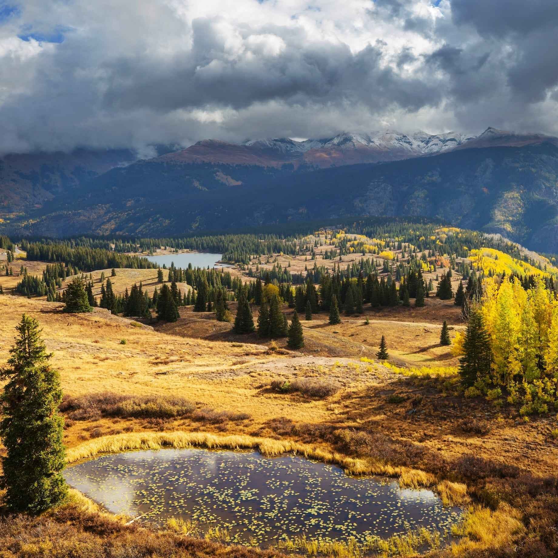 Colorado's wetlands are federally protected.